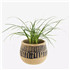 MADAM STOLTZ Terracotta planter - Natural, Black